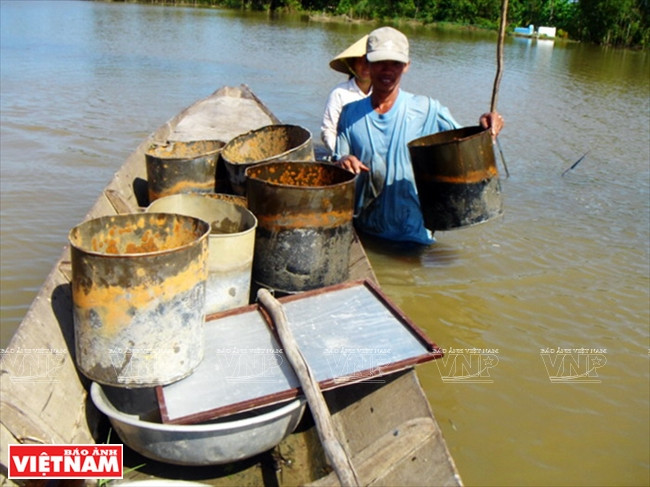 今日同塔梅 ảnh 2