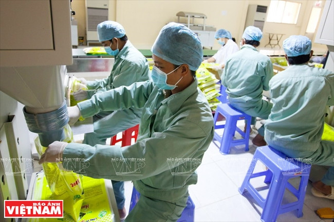 今日同塔梅 ảnh 16