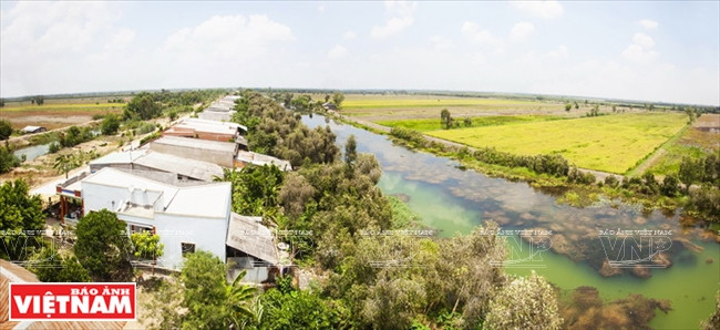 今日同塔梅 ảnh 9