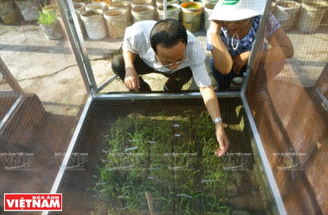 今日同塔梅 ảnh 6