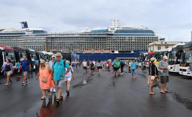 承天顺化省迎接承载3000多名游客的精致邮轮 ảnh 1