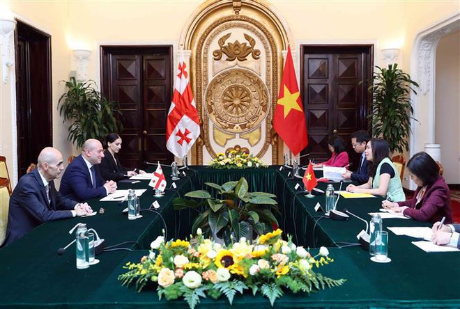 越南外交部长裴青山会见格鲁吉亚副外长赫夫季夏什维利 ảnh 2 越南外交部长裴青山会见格鲁吉亚副外长赫夫季夏什维利 ảnh 2