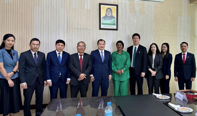 越南对外通讯报道工作指导委员会代表团赴卡塔尔、埃及、坦桑尼亚考察 ảnh 2 越南对外通讯报道工作指导委员会代表团赴卡塔尔、埃及、坦桑尼亚考察 ảnh 2