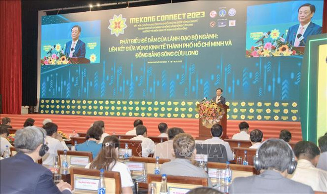九龙江三角洲与胡志明市价值链对接 ảnh 1 九龙江三角洲与胡志明市价值链对接 ảnh 1
