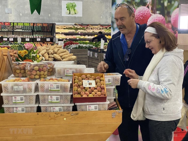 越南与澳大利亚建交50周年：促进两国企业之间的直接关系与联系 ảnh 2