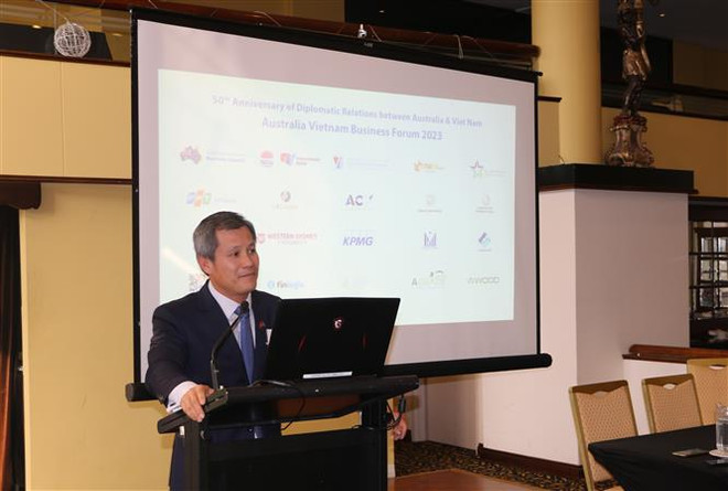 越南与澳大利亚建交50周年：促进两国企业之间的直接关系与联系 ảnh 1
