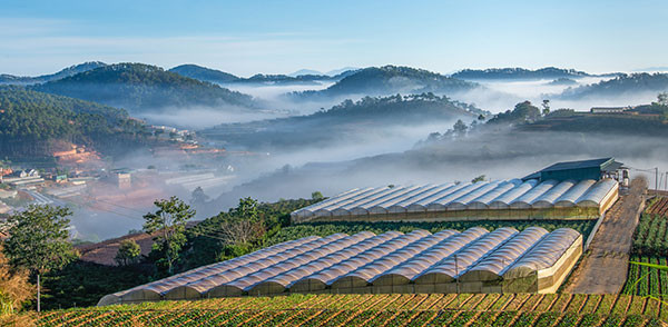 越南西原地区首家大型草药生产厂正式落成 ảnh 1 越南西原地区首家大型草药生产厂正式落成 ảnh 1