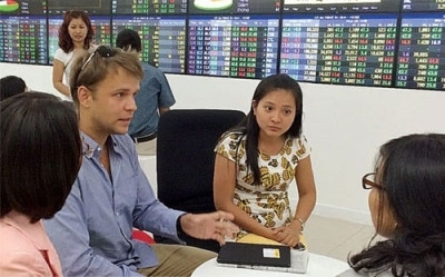 面向TPP成功签署：越南开始放宽外资持股比例限制 ảnh 1