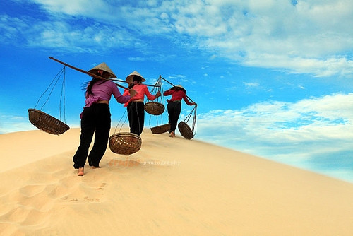 最受外国游客青睐的越南景点 ảnh 3