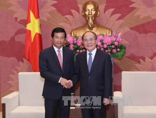越南国会主席阮生雄会见老挝驻越南大使 ảnh 1