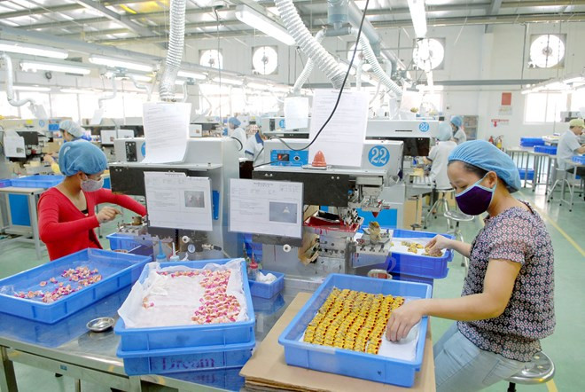 胡志明市各工业区和加工区有效运营 ảnh 1