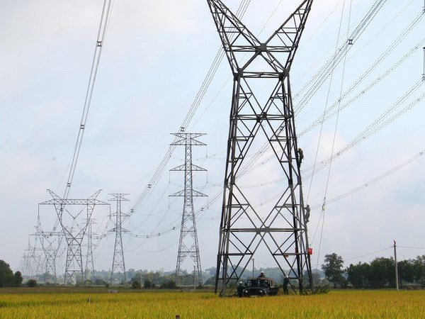 茶荣省97%的高棉族户家庭告别无电历史 ảnh 1 茶荣省97%的高棉族户家庭告别无电历史 ảnh 1