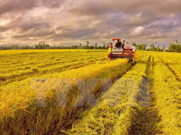 2016年度九龙江三角洲投资会议将于11月举行 ảnh 1 2016年度九龙江三角洲投资会议将于11月举行 ảnh 1