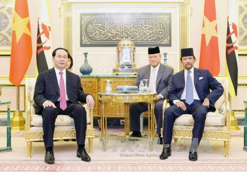 越南国家主席陈大光与文莱苏丹哈桑纳尔•博尔基亚举行会谈 ảnh 2 越南国家主席陈大光与文莱苏丹哈桑纳尔•博尔基亚举行会谈 ảnh 2