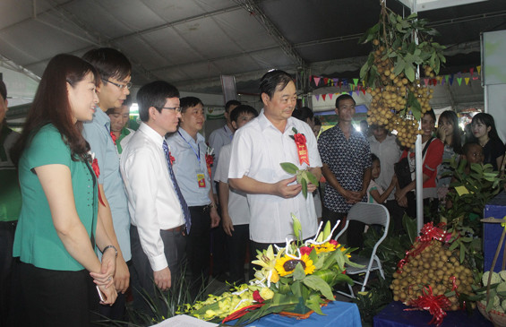  2016年越南东北地区农业贸易展在太原省开展 ảnh 1