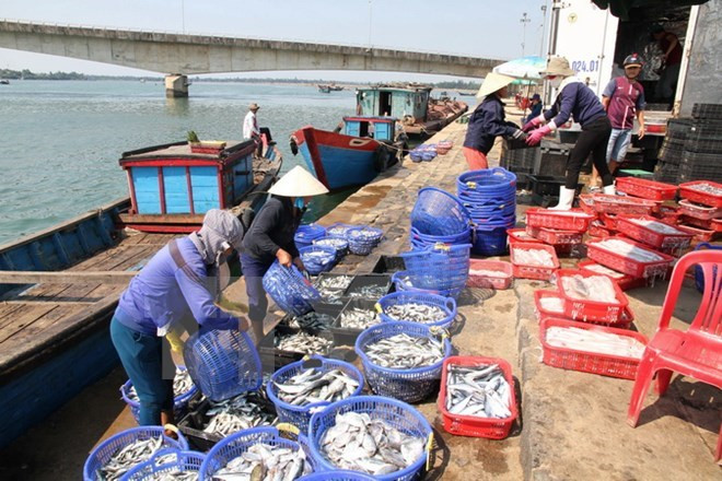 越南水产加工出口协会要求台塑集团对越南中部水产出口企业负起责任 ảnh 1 越南水产加工出口协会要求台塑集团对越南中部水产出口企业负起责任 ảnh 1