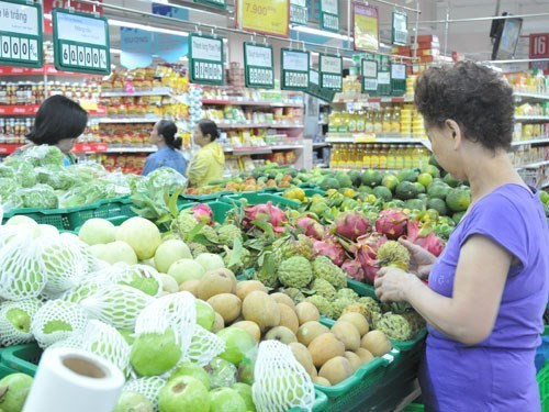 越南西部地区规模最大的蔬果加工厂落成 ảnh 1 越南西部地区规模最大的蔬果加工厂落成 ảnh 1