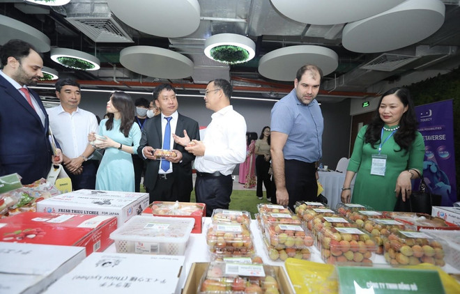 开拓市场 让越南荔枝走向世界 ảnh 1 开拓市场 让越南荔枝走向世界 ảnh 1