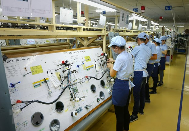 越南与阿根廷的友谊与全面合作关系 ảnh 5 越南与阿根廷的友谊与全面合作关系 ảnh 5