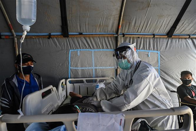 印尼马鲁古省发生了5.5级地震 ảnh 1