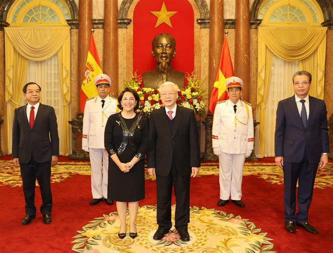 阮富仲接受外国新任驻越大使递交国书 ảnh 1 阮富仲接受外国新任驻越大使递交国书 ảnh 1