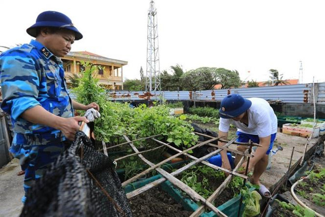 长沙岛县生存岛军民以优异成绩向越共十三大献礼 ảnh 2
