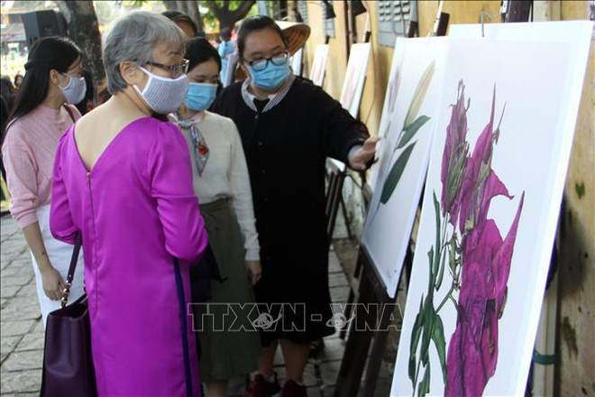 哥伦比亚风土人情图片展在广南省开幕 ảnh 2