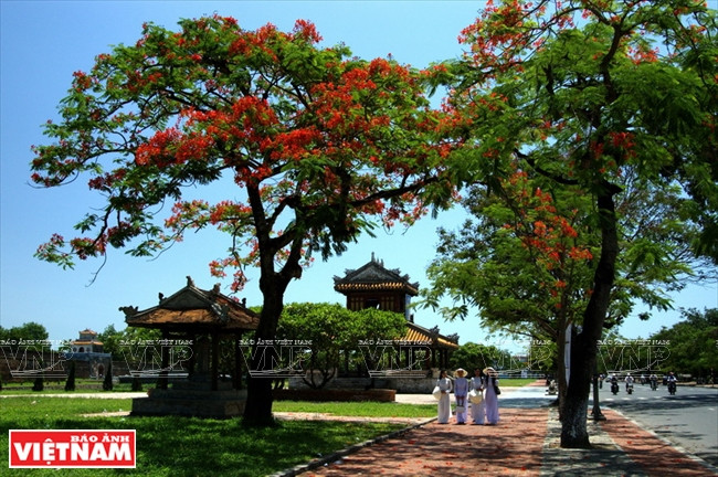 东盟共同体的文化本色 ảnh 2