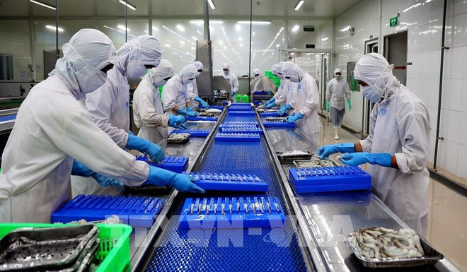 越南水产品产业在国际市场中具有重要的位置 ảnh 2 越南水产品产业在国际市场中具有重要的位置 ảnh 2