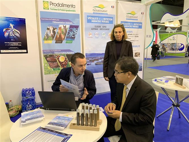 越南出席在阿尔及利亚举行的2019第八届国际渔业和水产养殖业展 ảnh 2