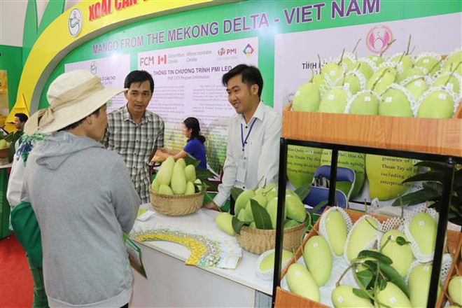 2019年越南国际农业展会开展 ảnh 2 2019年越南国际农业展会开展 ảnh 2