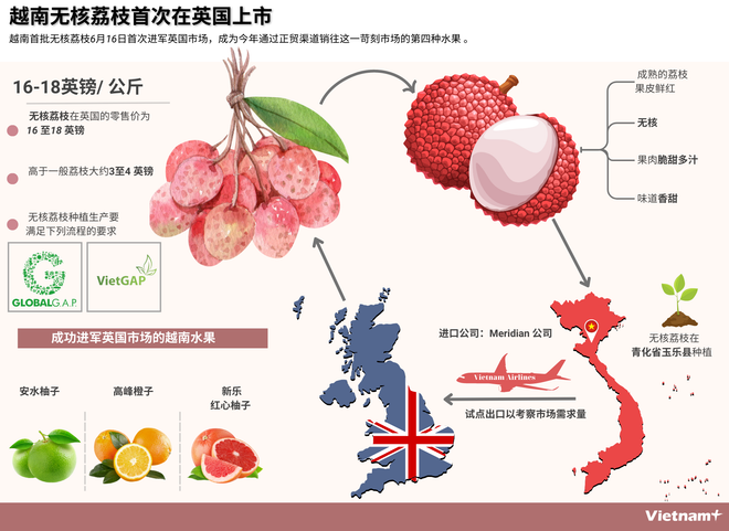 图表新闻：越南无核荔枝首次在英国上市 ảnh 1