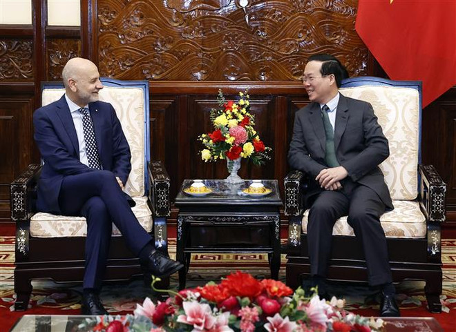 越南国家主席武文赏会见意大利驻越大使 ảnh 2 越南国家主席武文赏会见意大利驻越大使 ảnh 2