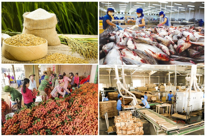 越南前7月农林水产品出口291.3亿美元,实现贸易顺差近60亿美元 ảnh 1 越南前7月农林水产品出口291.3亿美元,实现贸易顺差近60亿美元 ảnh 1