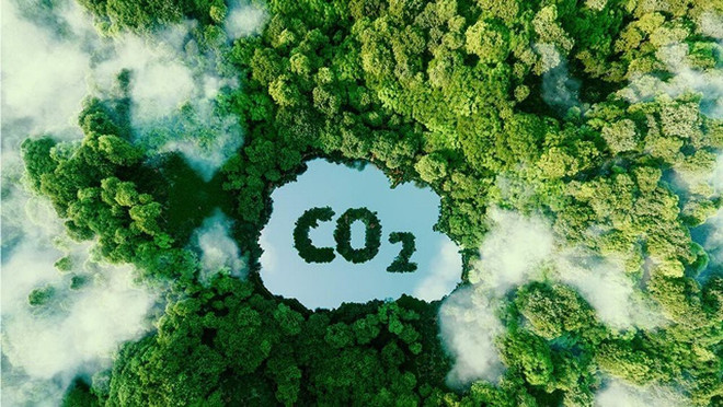 越南努力落实净零排放承诺 ảnh 4 越南努力落实净零排放承诺 ảnh 4