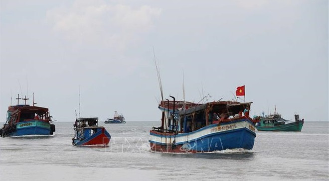 解除IUU“黄牌”警告:严厉打击非法、不报告和不管制的捕捞行为 ảnh 1  解除IUU“黄牌”警告:严厉打击非法、不报告和不管制的捕捞行为 ảnh 1