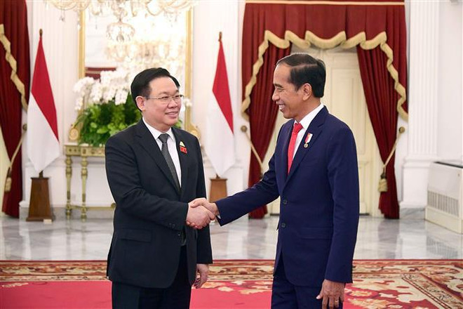 越南国会主席王廷惠会见印尼总统佐科·维多多 ảnh 1 越南国会主席王廷惠会见印尼总统佐科·维多多 ảnh 1