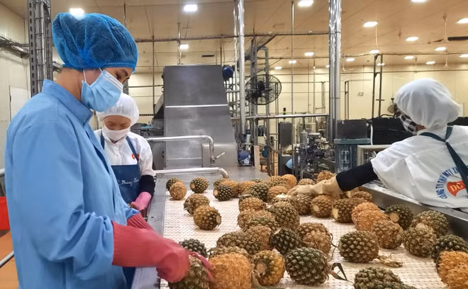 奥地利是越南农产品具有潜力的出口市场 ảnh 1