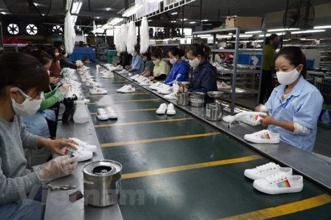 绿色增长:满足新规则 增加出口额 ảnh 2 绿色增长:满足新规则 增加出口额 ảnh 2