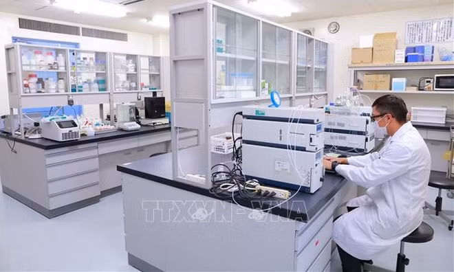 旅居日本的越南科学家跻身Research.com 顶级科学家排名榜 ảnh 1 旅居日本的越南科学家跻身Research.com 顶级科学家排名榜 ảnh 1