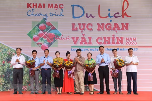 北江省2023年陆岸荔枝成熟季节旅游活动热闹开场 ảnh 1