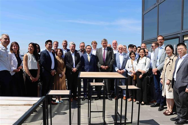 加强越南与比利时港口领域的合作 ảnh 2