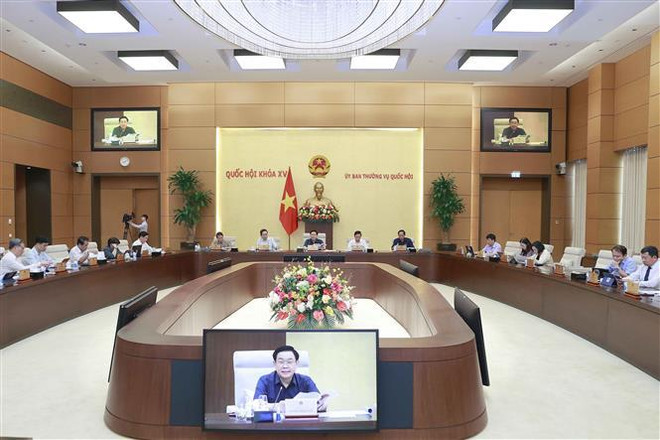 越南国会常务委员会对《消费者权益保护法》（修正案）提出意见 ảnh 2