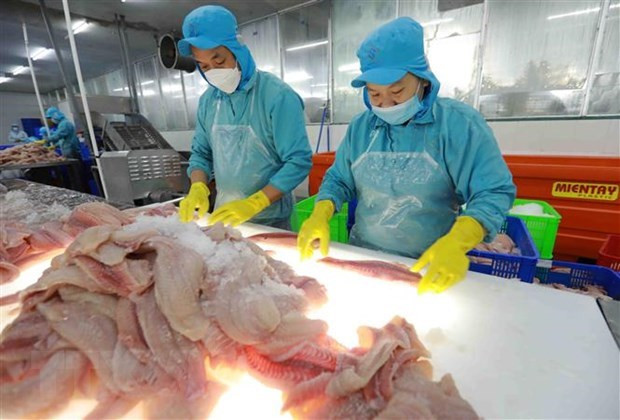 越南水产企业努力克服各方面困难 ảnh 2 越南水产企业努力克服各方面困难 ảnh 2