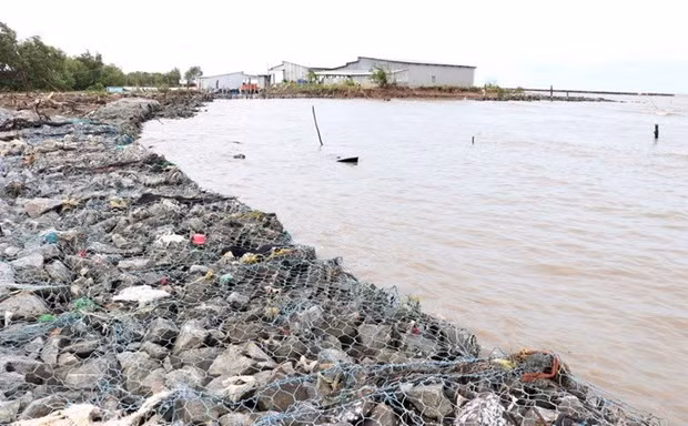 金瓯省积极应对自然灾害 ảnh 1