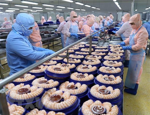 越南水产企业努力克服各方面困难 ảnh 1 越南水产企业努力克服各方面困难 ảnh 1