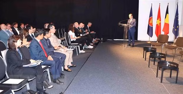 越南与比利时的经贸投资合作潜力仍有待挖掘 ảnh 1