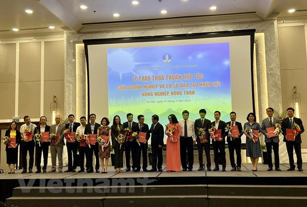 越南农业：高素质人力资源严重短缺 ảnh 2