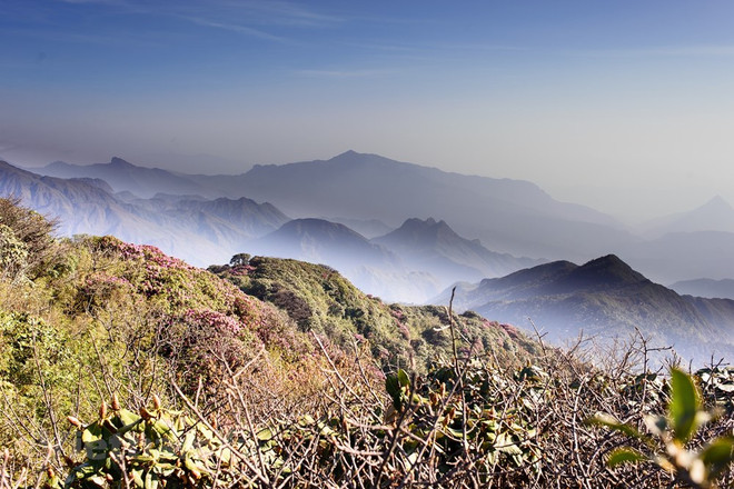 组图:西北山区上盛开的花朵 美不胜收的自然风光 ảnh 1 组图:西北山区上盛开的花朵 美不胜收的自然风光 ảnh 1