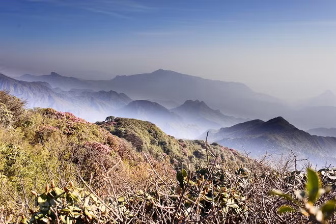 组图：西北山区上盛开的花朵 美不胜收的自然风光 ảnh 1